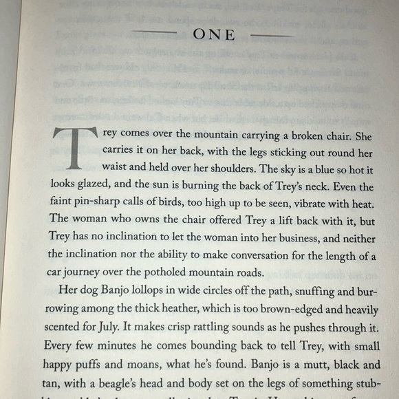 'The Hunter' Book by Tana French - hardcover - Picture 6 of 13